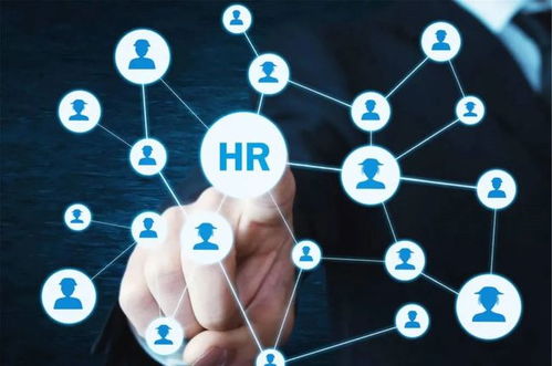 農(nóng)業(yè)“新農(nóng)人” 想做風(fēng)口上的“智能豬”，技術(shù)開(kāi)發(fā)能力不可少